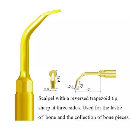 Woodpecker US5 Piezo Tip - Bone Collection - SurgicMateWOODPECKER
